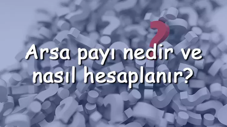 Kıbrıs'ta Arsa Fiyatlarına Etki Eden Faktörler Nelerdir?